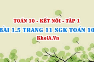 Bài 1.5 trang 11 SGK Toán 10 tập 1 Kết nối tri thức
